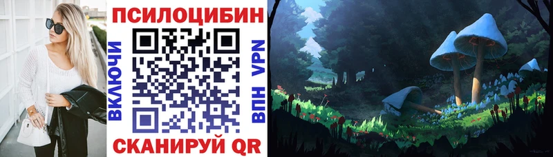 Галлюциногенные грибы Psilocybine cubensis  где купить наркоту  Пермь 