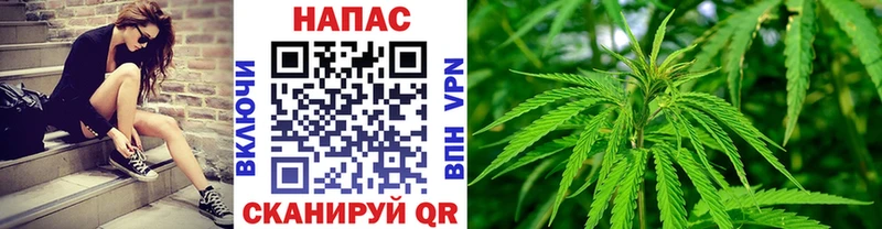 Бошки Шишки сатива  MEGA ССЫЛКА  Пермь 